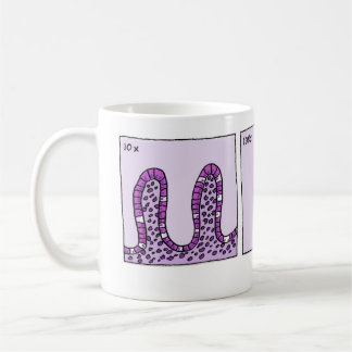 tasse de l'immunohistochimie 1000x