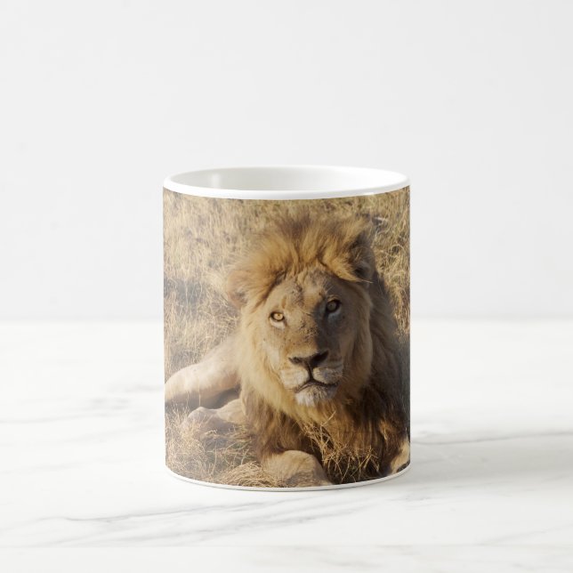 Tasse de lion (Centre)