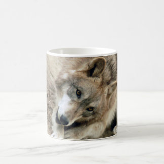 Tasse de loup de loups