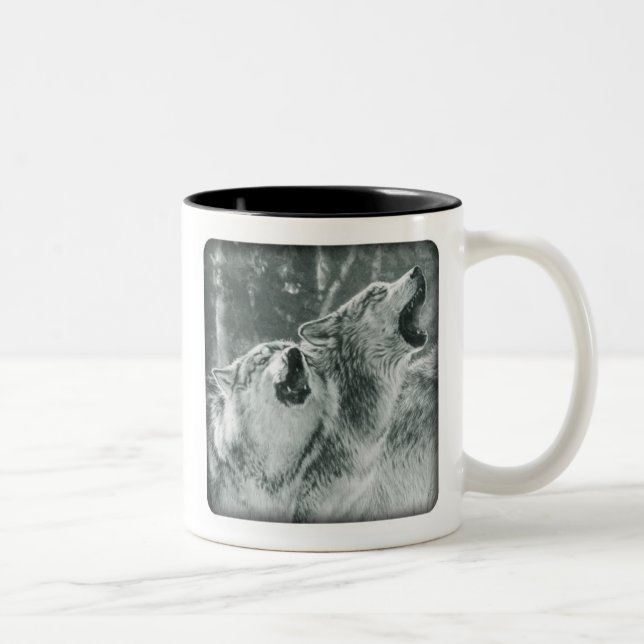 Tasse de loup d'hurlement (Droit)