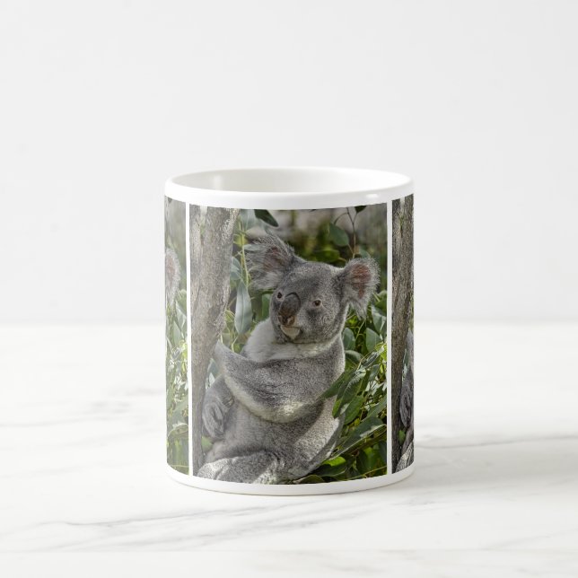 Tasse de l'ours de koala 2 (Centre)