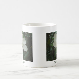 Tasse de magnolia