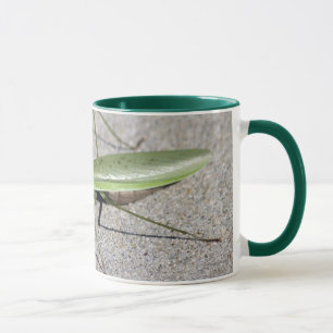 Tasse de mante de prière