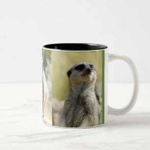 Tasse de Meerkat