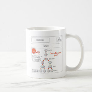 Tasse de mitose de produits d'EduPaper et de café
