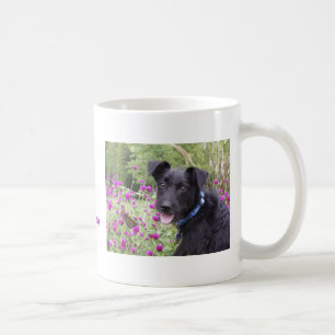 Tasse de monarque