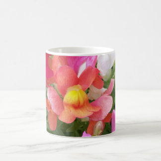 Tasse de muflier