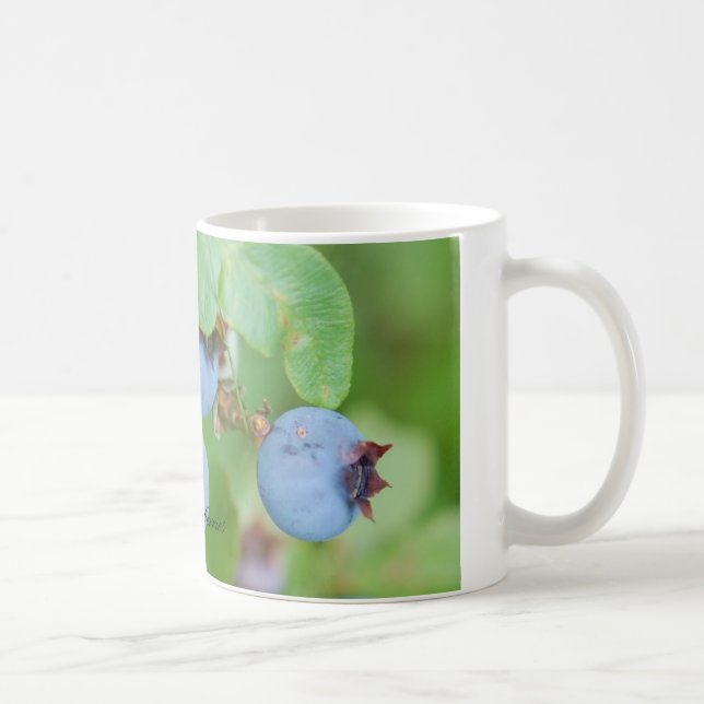 Tasse de myrtille du Maine (Droite)