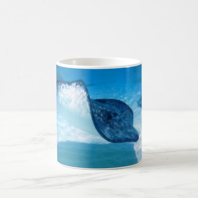 Tasse de pastenagues (Centre)