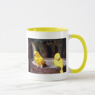 tasse de perruches