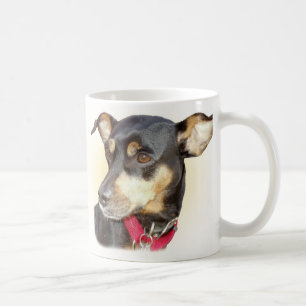 Tasse de Pinscher miniature
