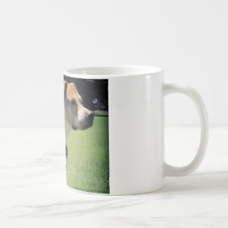 Tasse de pitbull de la Géorgie