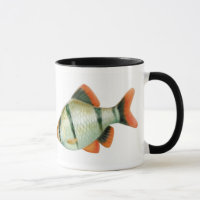Tasse de poissons d'aquarium de Barb de tigre