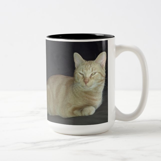Tasse de portrait de chat d'oscar (Droit)