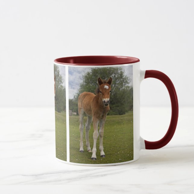 Tasse de poulain (Droite)