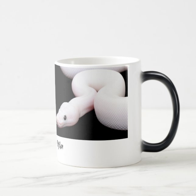 Tasse de python de boule de Leucistic (Droite)