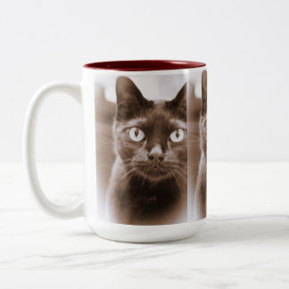Tasse de Pywacket Potrait I