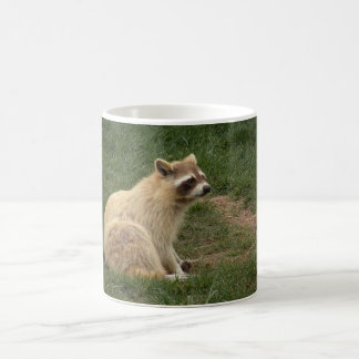 Tasse de Racoon