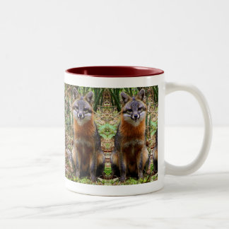 TASSE DE RENARD
