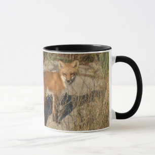 Tasse de renard "sauvez notre planète"