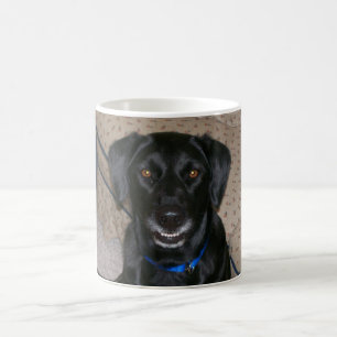Tasse de Roscoe