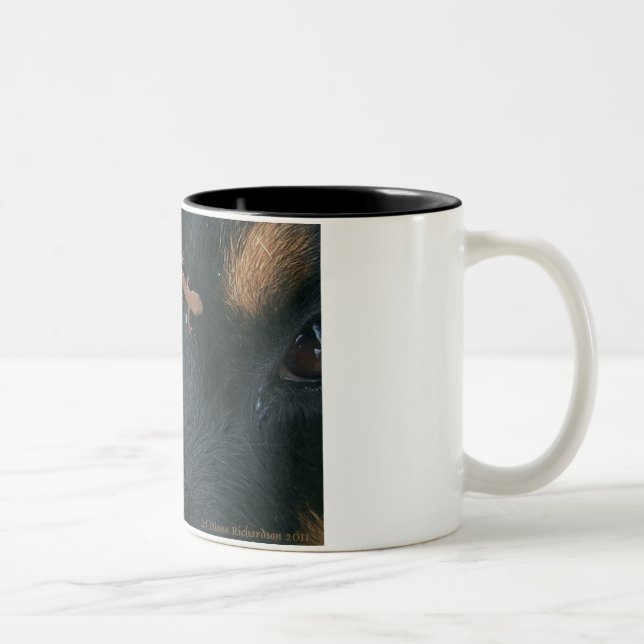 Tasse de rottweiler et de salamandre (Droit)