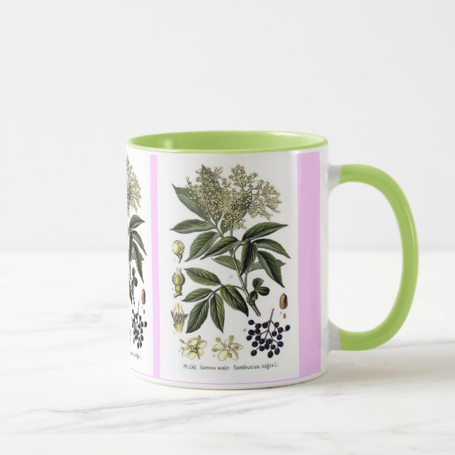 Tasse de Sambucus de baie de sureau (Droite)