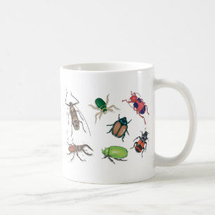 Tasse de scarabée