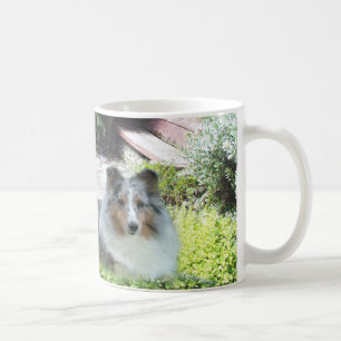 Tasse de Sheltie