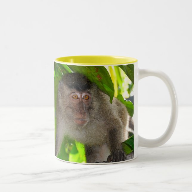 Tasse de singes de Macaque (Droit)