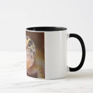Tasse de sourire de Gecko de léopard