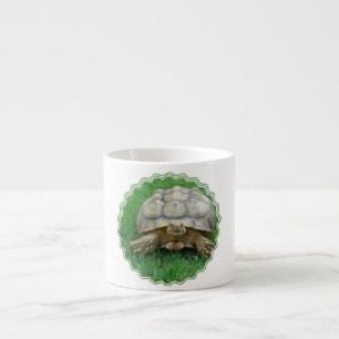 Tasse de spécialité de tortue