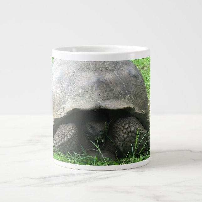 Tasse de tortue géante (Devant)
