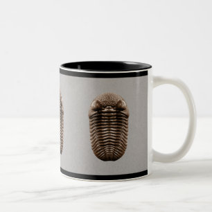 Tasse de Trilobite