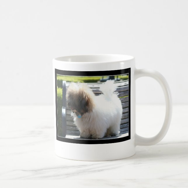 Tasse de Tulear Puppy de coton (Droite)