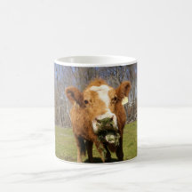 Tasse de vache