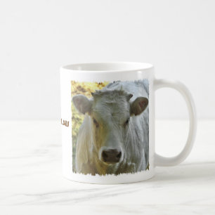 Tasse de vache du charolais
