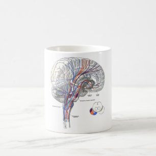 Tasse de voies de cerveau