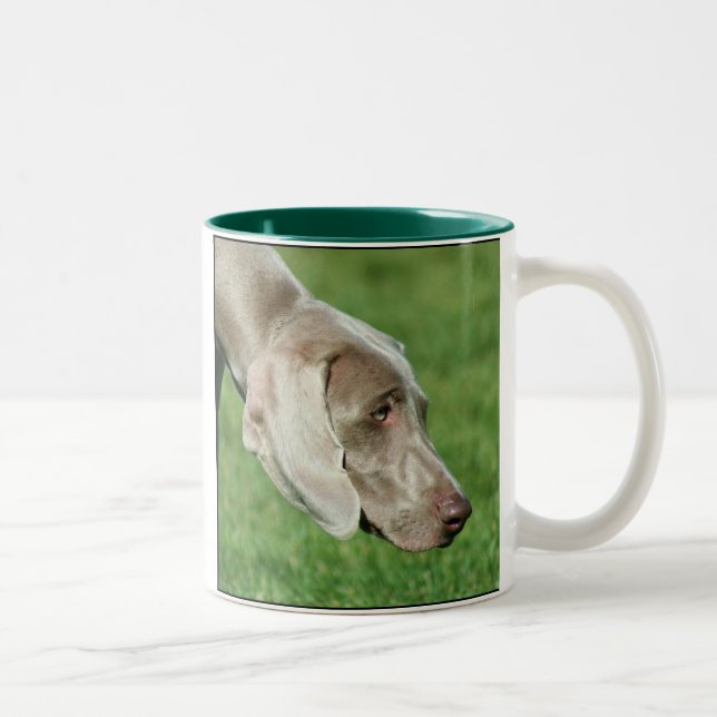Tasse de Weimaraner (Droit)