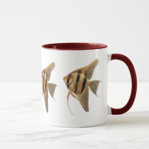 Tasse d'eau douce de scalaires