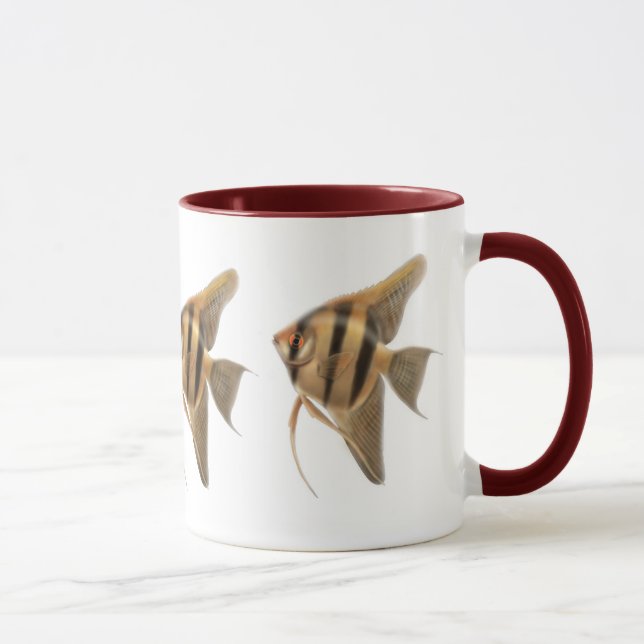 Tasse d'eau douce de scalaires (Droite)