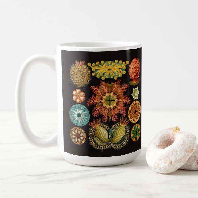Tasse d'échinoderme de Haeckel grande (Avec donut)