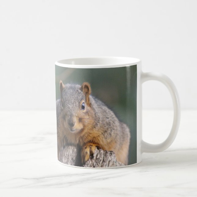 Tasse d'écureuil (Droite)
