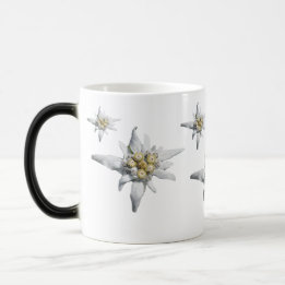 Tasse d'edelweiss