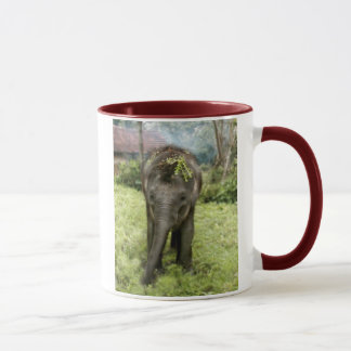 tasse d'éléphants du coeur i