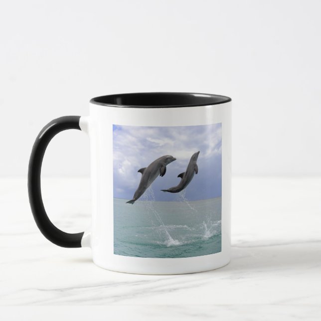 Tasse Delfin (Tuemmler plus brut) (Gauche)