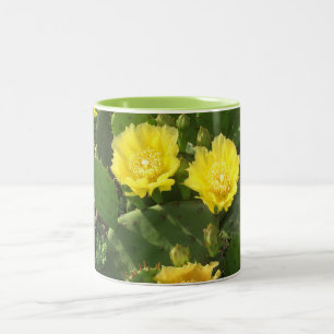 Tasse der blühenden Kaktus