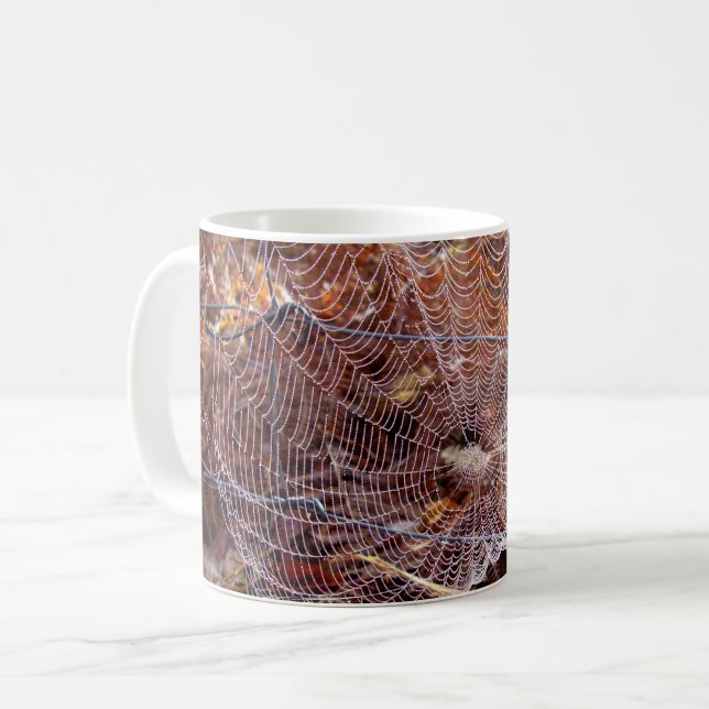 Tasse der europäischen Gartenspinne (Vorderseite Links)