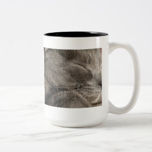 Tasse der Graukatze