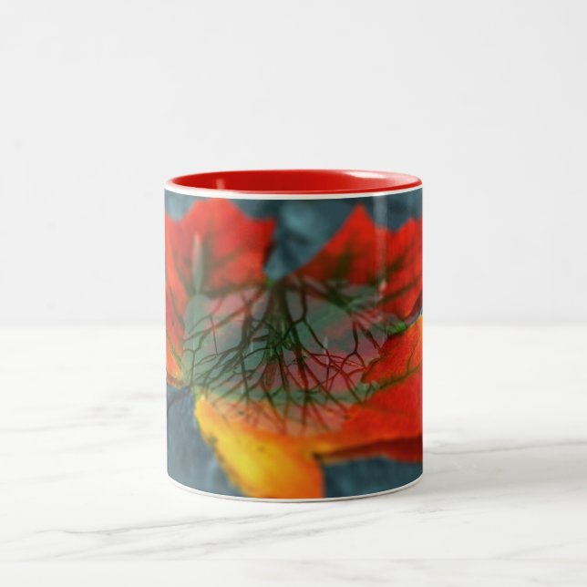 Tasse der Retroreflektion (Mittel)